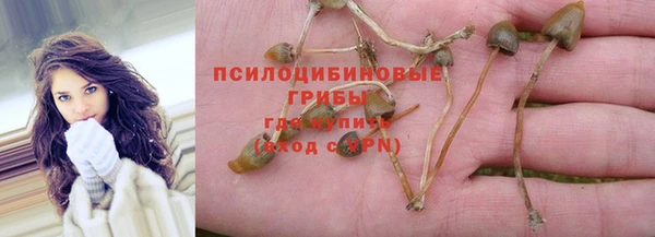 гидропоника Алексеевка