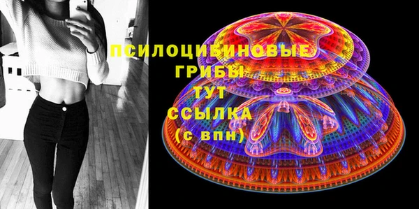 круглые Алзамай