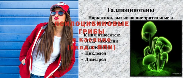 круглые Алзамай