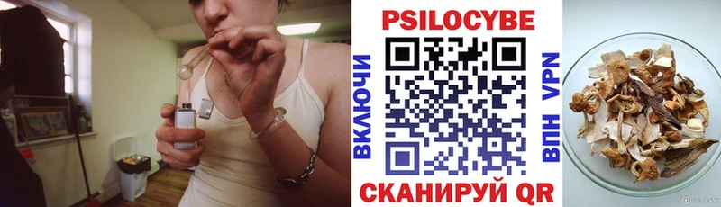 наркота  Билибино  mega ONION  Галлюциногенные грибы Magic Shrooms 